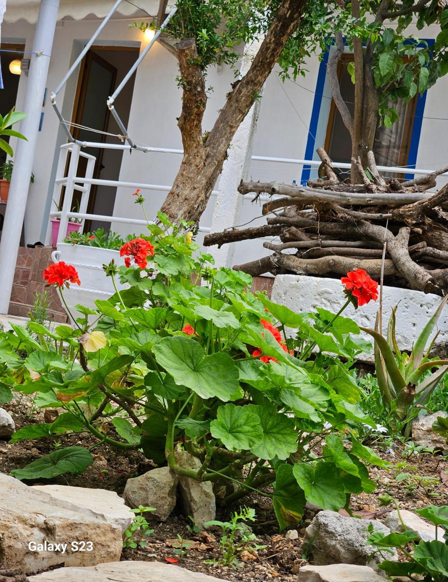 Aeria Rooms הימארה מראה חיצוני תמונה